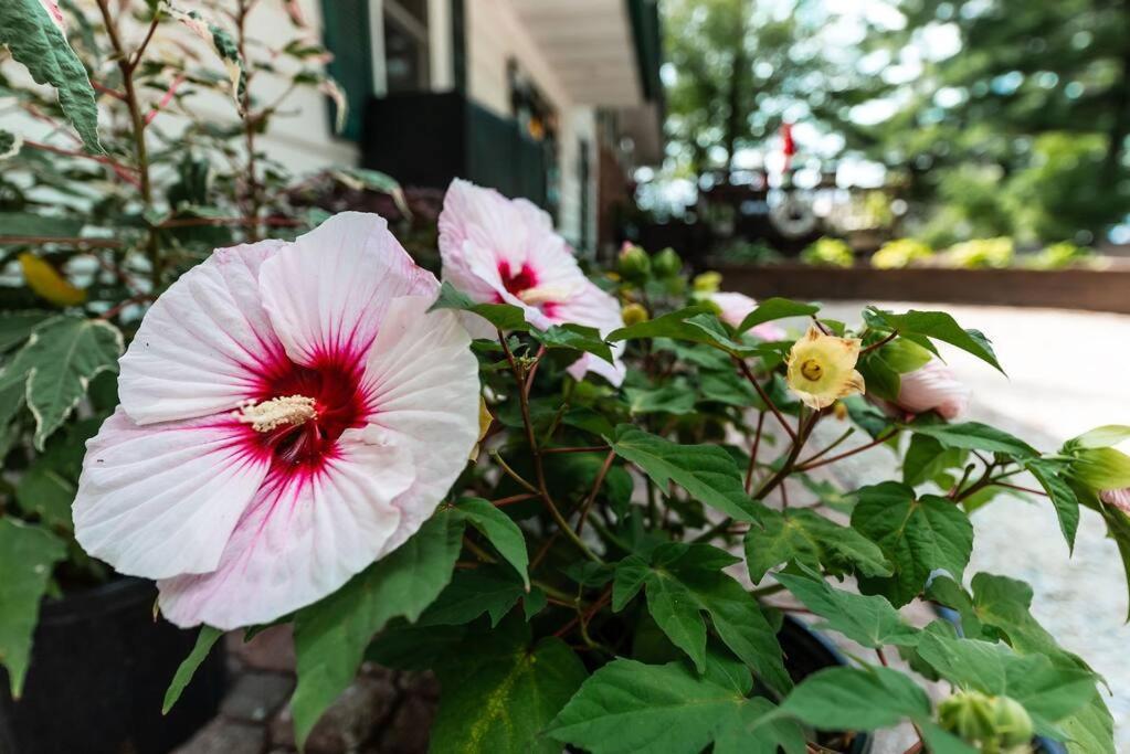 Big Blue Lake Cottages, Llc - Cottage #5 Holton ภายนอก รูปภาพ